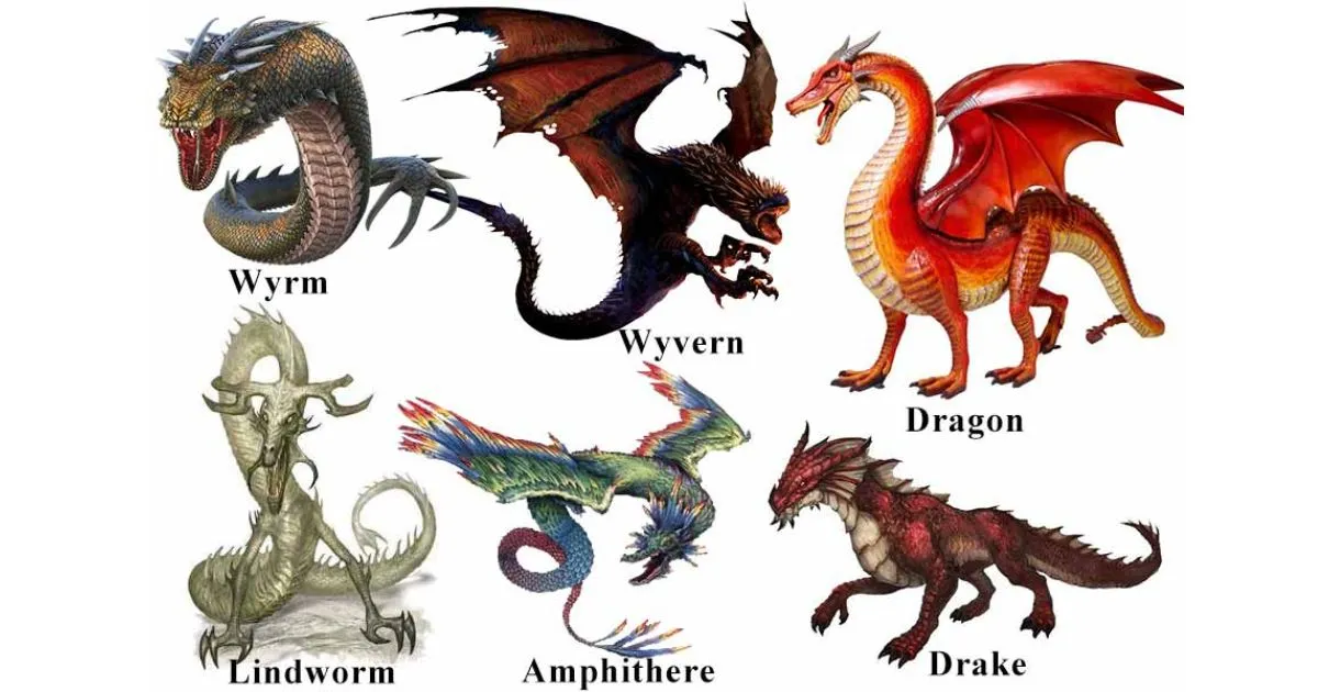 Dragons, Drakes, Wyrms and Wyverns - What Are The Differences?