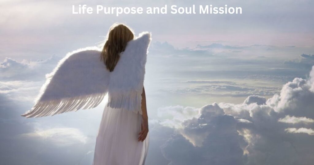 Life Purpose and Soul Mission.