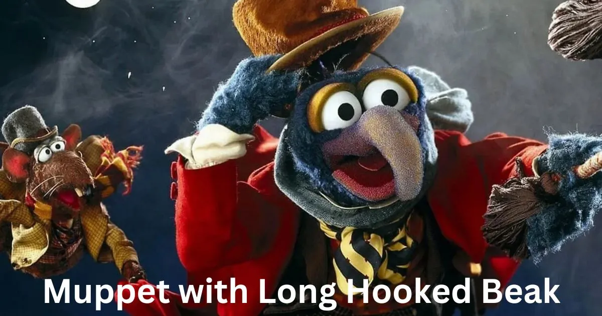 Muppet with Long Hooked Beak