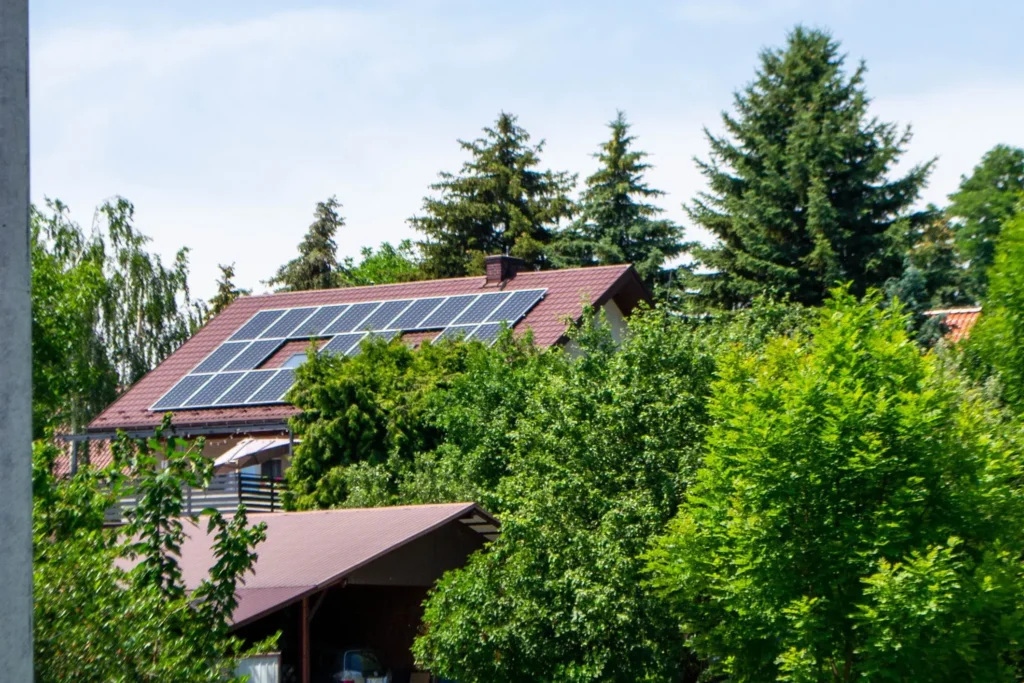 Green Home Improvements That Save You Money Long-Term