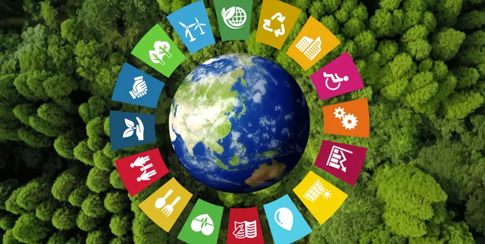 How Should Teachers Explain the Concept of Sustainability? How Should Teachers Explain the Concept of Sustainability